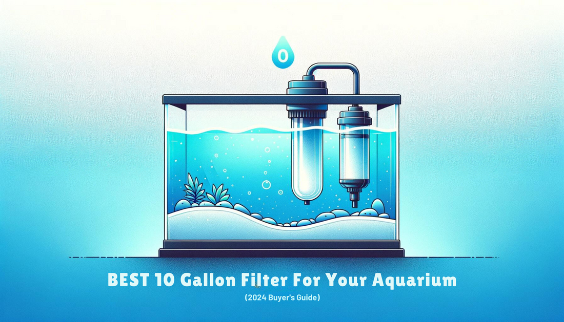Best 10 Gallon Filter For Your Aquarium (2024 Buyer's Guide)
