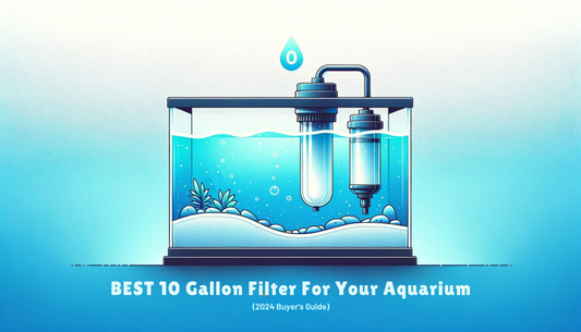 Best 10 Gallon Filter For Your Aquarium (2024 Buyer's Guide)