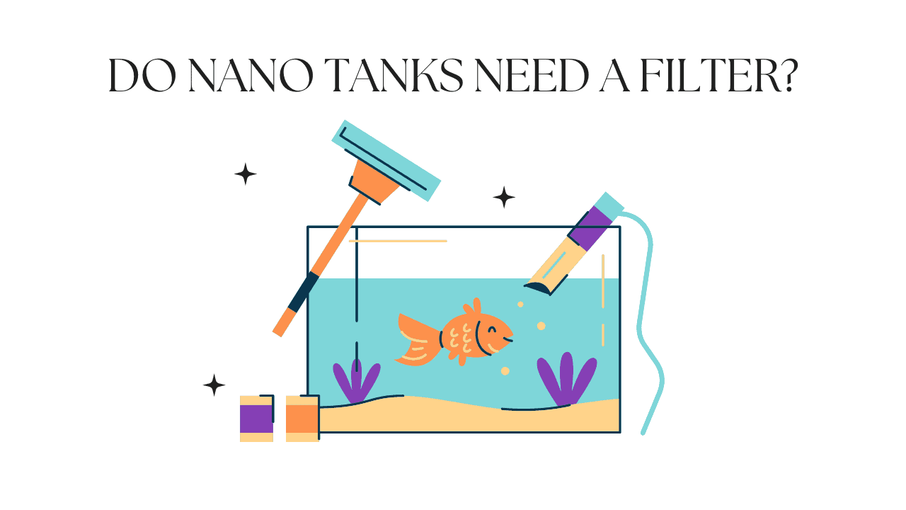 Do Nano Tanks Need a Filter? (May 2024) Aquariums For Beginners
