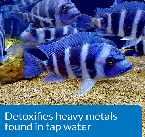API Tap Water Conditioner Detoxifies Heavy Metals and Dechlorinates Aquarium Water Aquariums For Beginners