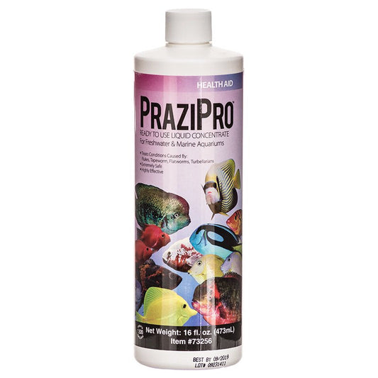 Aquarium Solutions PraziPro Parasite Treatment Aquariums For Beginners