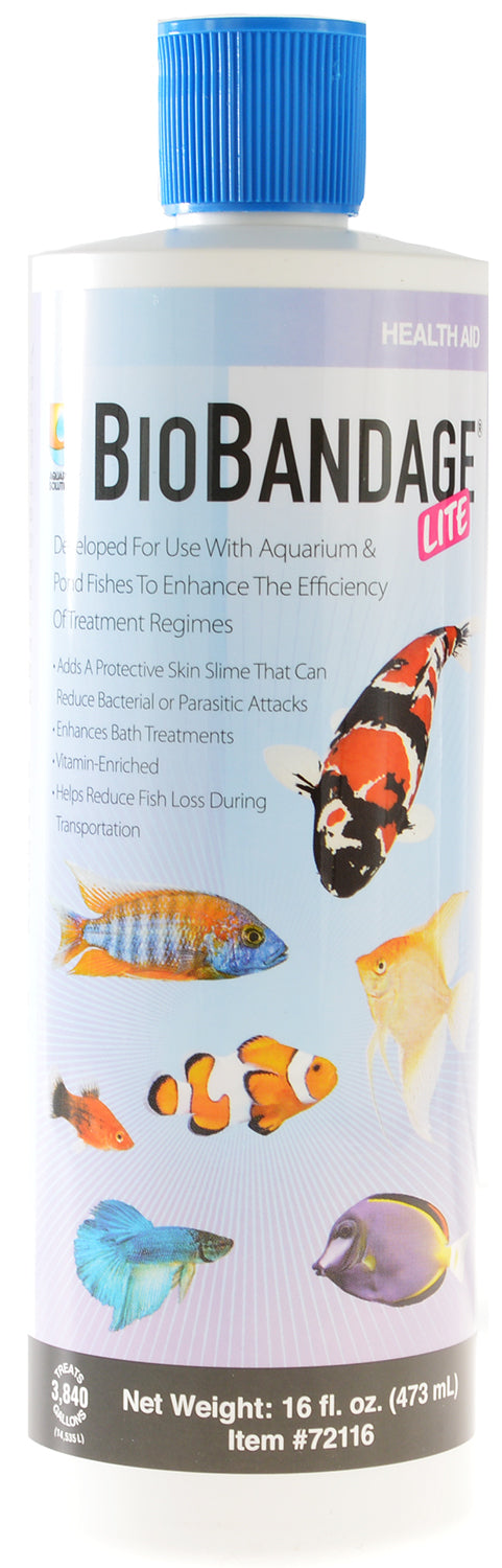 Hikari Bio Bandage Lite Adds Protective Skin Slime for Aquarium and Pond Fish Aquariums For Beginners