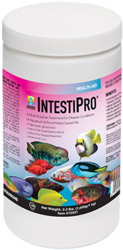 Hikari IntestiPro Powdered Intestinal Worm Treatment Aquariums For Beginners