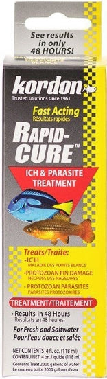 Kordon Rapid Cure Ich and Parasite Treatment Aquariums For Beginners