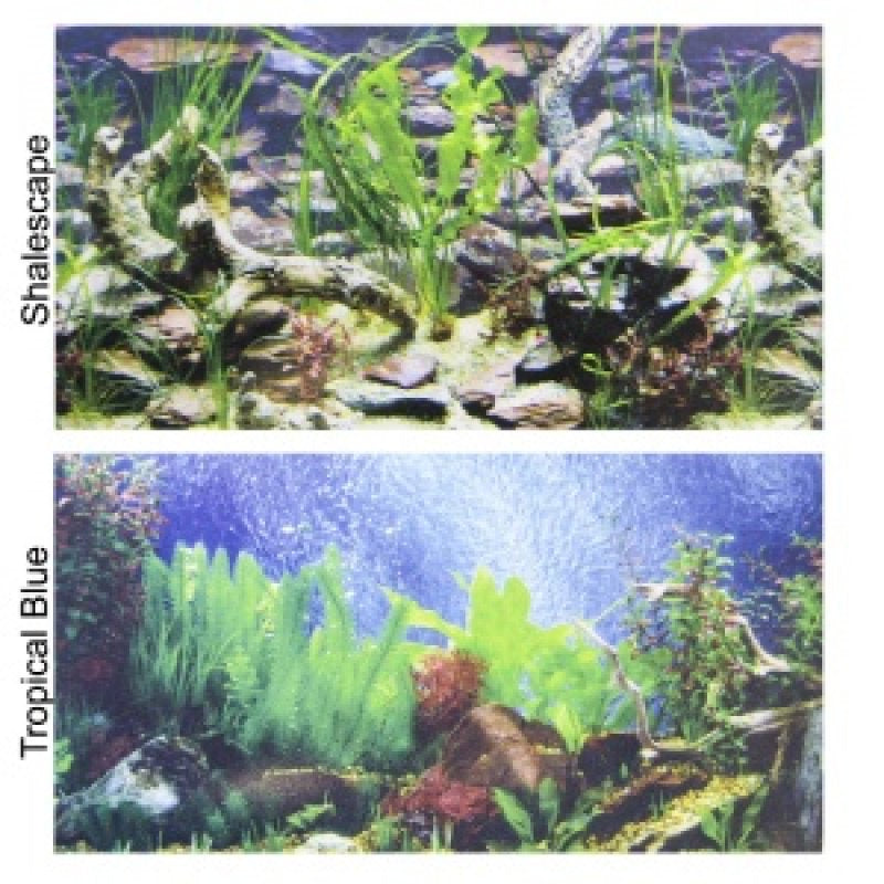 Penn Plax Double-Back Aquarium Background Tropical Blue / Shalescape Aquariums For Beginners