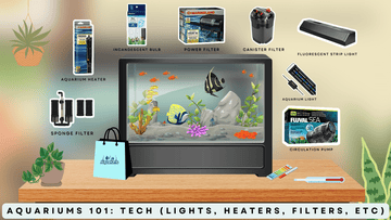 Aquariums 101: Equipment (Lights, Heaters, Filters, etc)