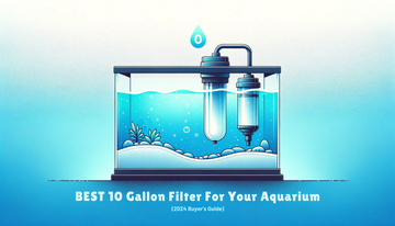 Best 10 Gallon Filter For Your Aquarium (2024 Buyer's Guide)