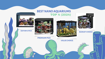 Best Nano Aquariums | Top 4 Pros & Cons (May 2024)