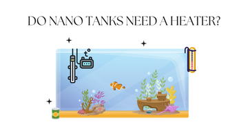 Do Nano Tanks Need a Heater? (April 2024)