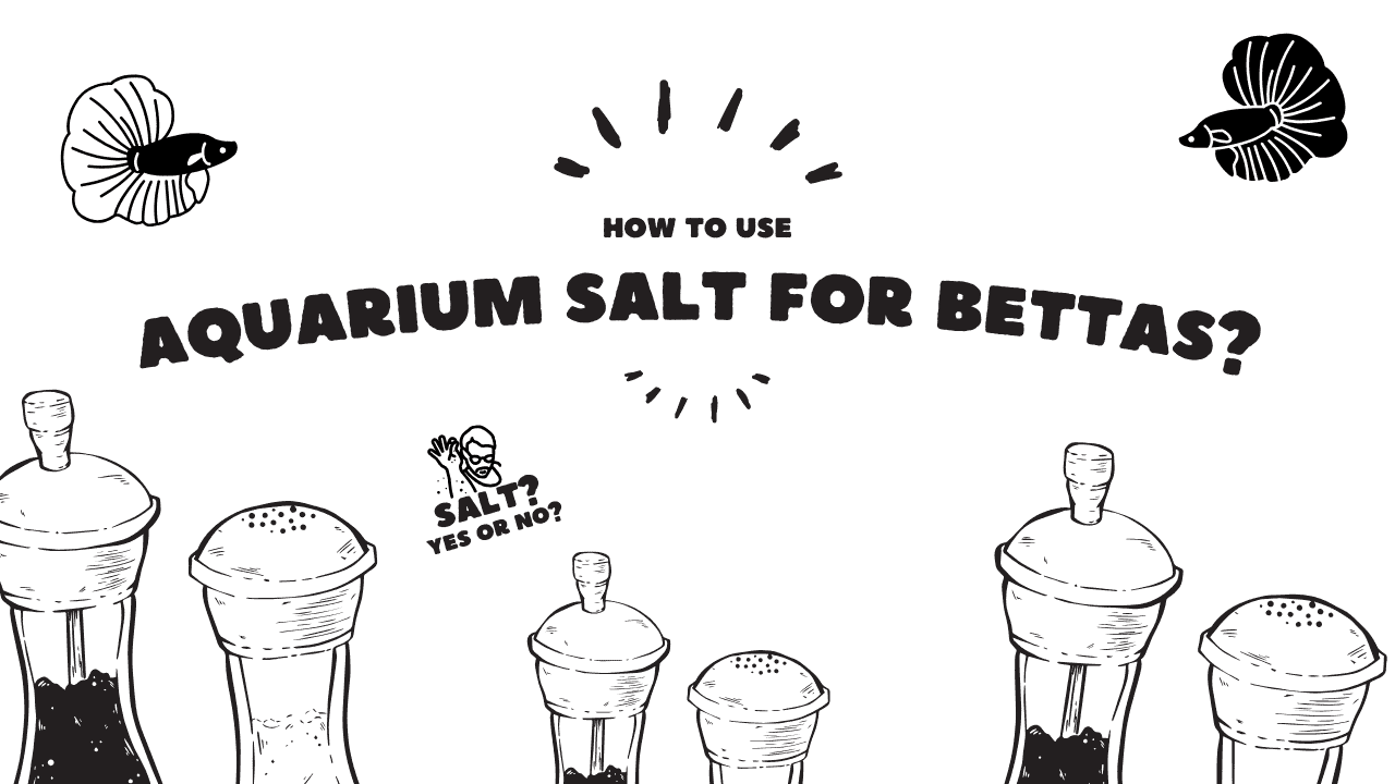 How to Use Aquarium Salt for Bettas? (2024) – Aquariums For Beginners