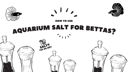 How to Use Aquarium Salt for Bettas? (December 2023)