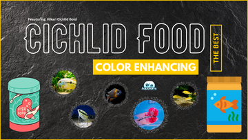 color enhancing cichlid food with various fish images.