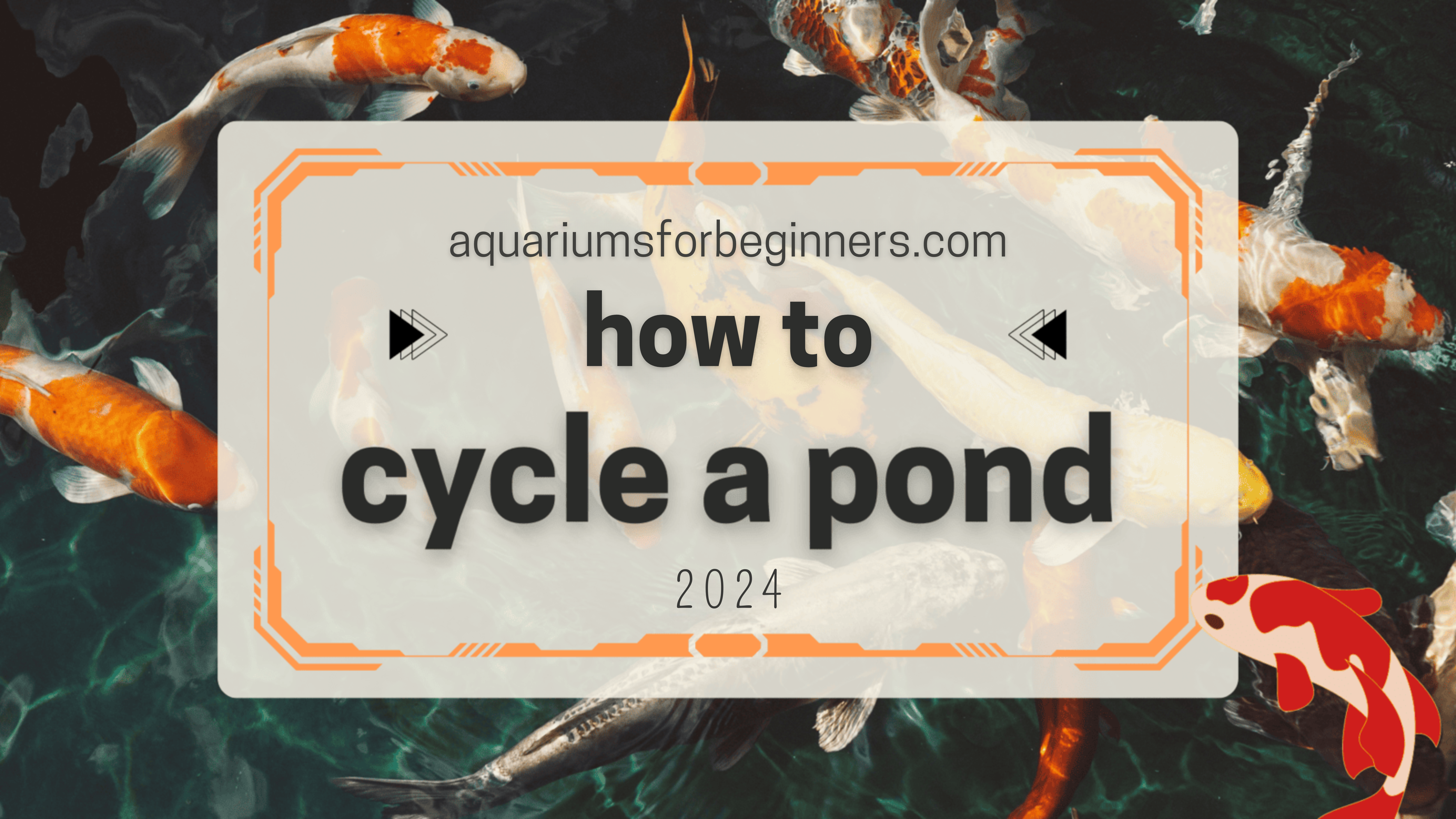 Fresh Look at How To Cycle A Pond 2024