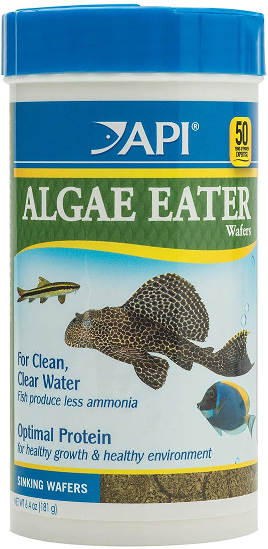 API Algae Eater Sinking Wafers Fish Food Aquariums For Beginners