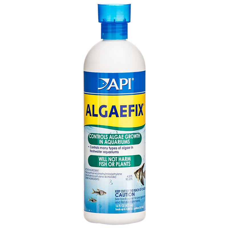 API AlgaeFix Controls Algae Growth for Freshwater Aquariums Aquariums For Beginners