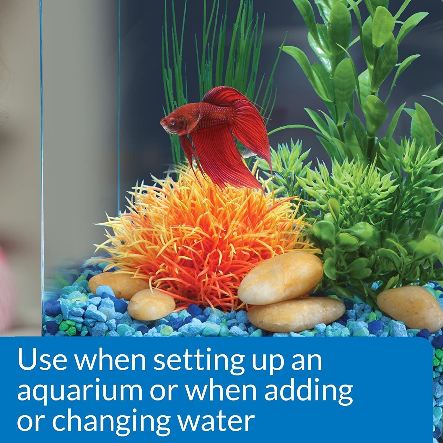 API Betta Water Conditioner Makes Tap Water Safe Aquariums For Beginners