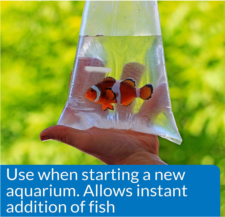 API Marine Quick Start Allows Instant Addition of Fish Aquariums For Beginners