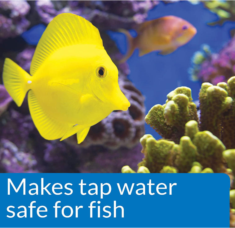 API Marine Quick Start Allows Instant Addition of Fish Aquariums For Beginners