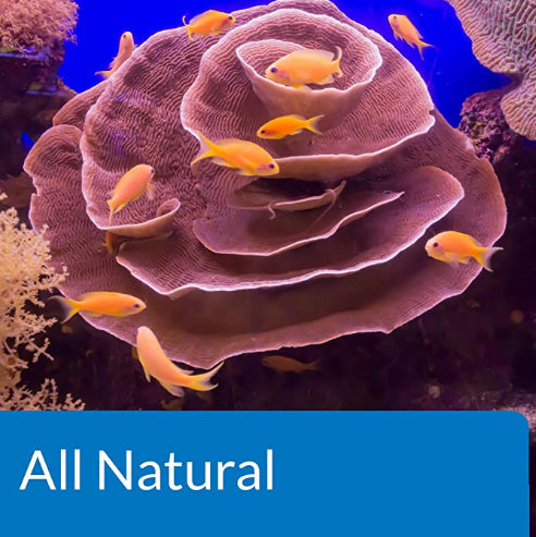 API Marine Stress Zyme Cleans Live Rock and Sand Adding Beneficial Bacteria Aquariums For Beginners