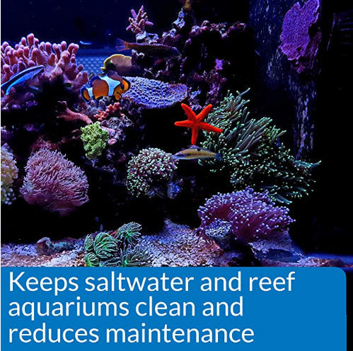 API Marine Stress Zyme Cleans Live Rock and Sand Adding Beneficial Bacteria Aquariums For Beginners