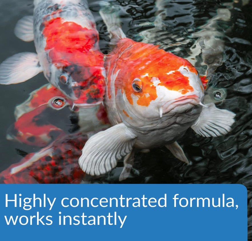 API Pond Aqua Essential Water Conditioner Aquariums For Beginners