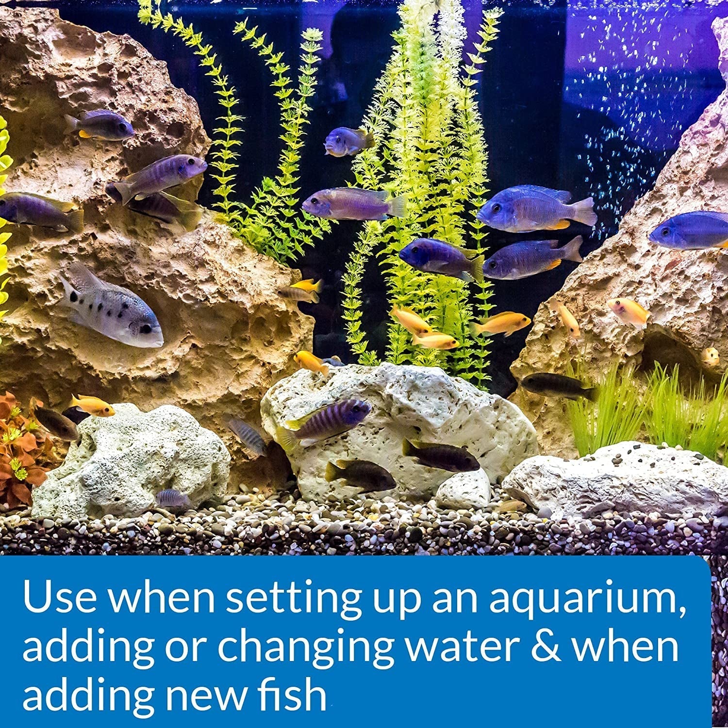 API Quick Start Water Conditioner Aquariums For Beginners