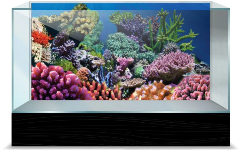 Aquatic Creations Coral Static Cling Background for Aquariums Aquariums For Beginners