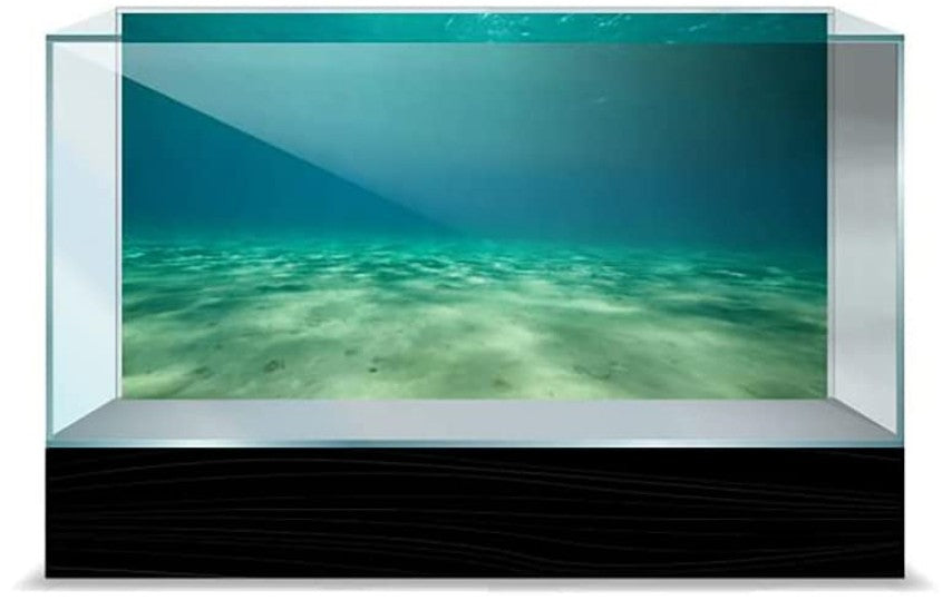 Aquatic Creations Ocean Floor Static Cling Background for Aquariums Aquariums For Beginners