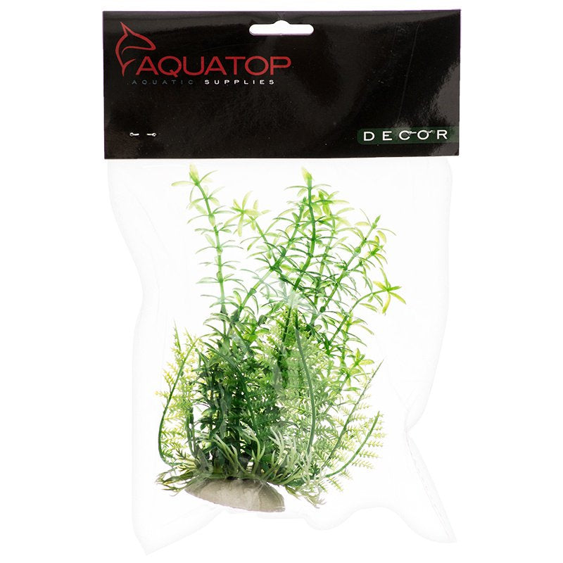 Aquatop Anacharis Aquarium Plant Green Aquariums For Beginners