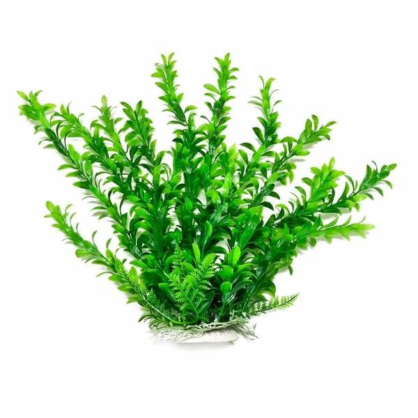 Aquatop Anacharis Aquarium Plant Green Aquariums For Beginners