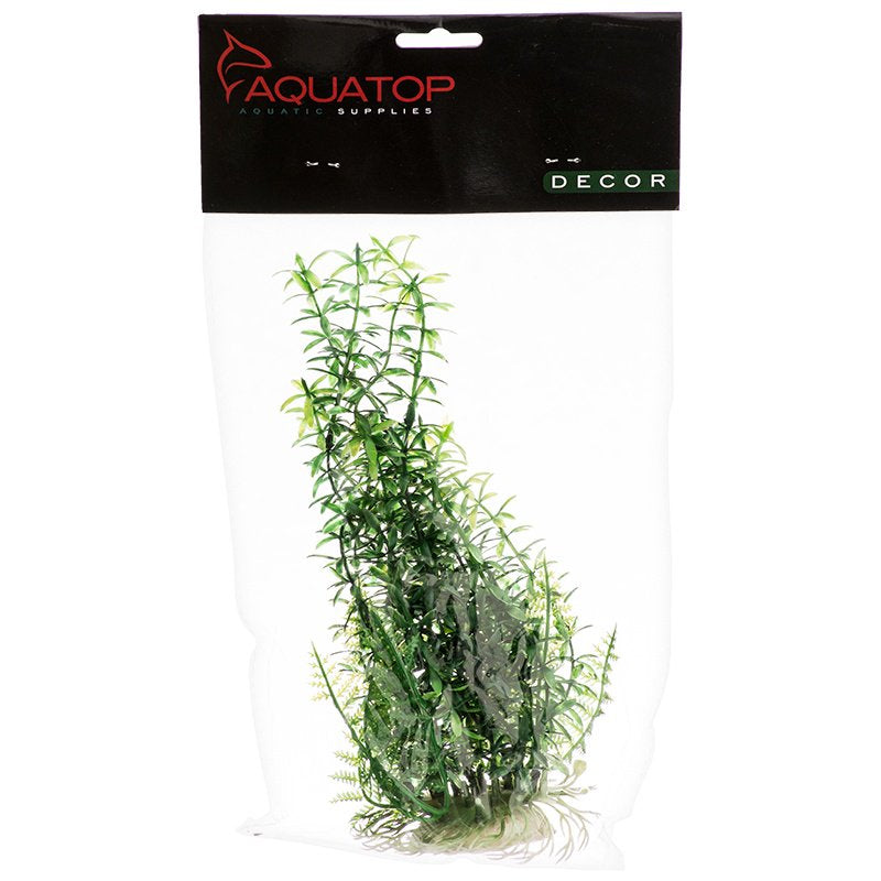 Aquatop Anacharis Aquarium Plant Green Aquariums For Beginners