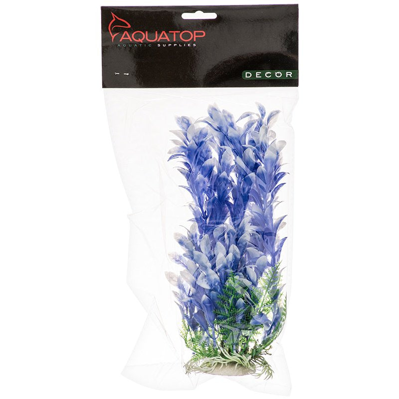 Aquatop Bacopa Aquarium Plant Blue and White Aquariums For Beginners