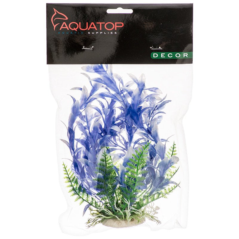 Aquatop Bacopa Aquarium Plant Blue and White Aquariums For Beginners