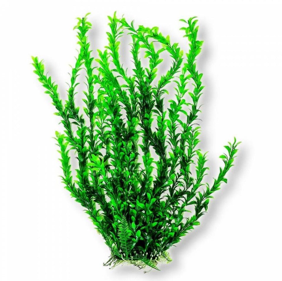 Aquatop Bushy Aquarium Plant Light Green Aquariums For Beginners