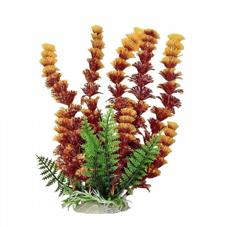 Aquatop Cabomba Aquarium Plant Fire Aquariums For Beginners