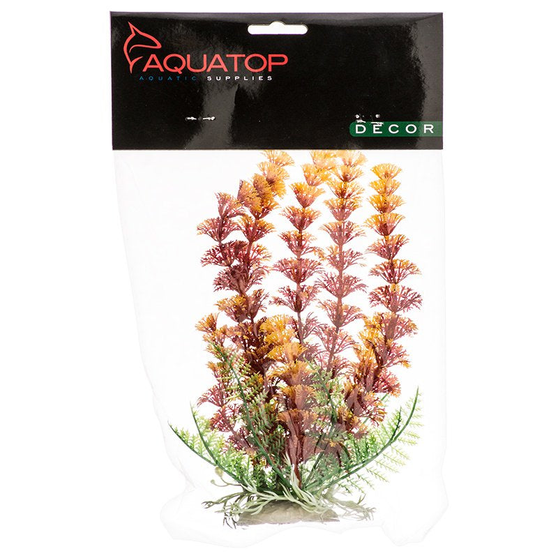 Aquatop Cabomba Aquarium Plant Fire Aquariums For Beginners