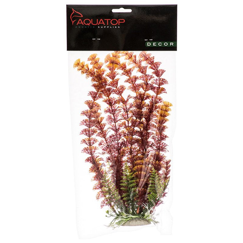 Aquatop Cabomba Aquarium Plant Fire Aquariums For Beginners