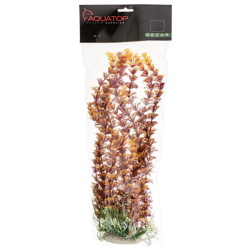 Aquatop Cabomba Aquarium Plant Fire Aquariums For Beginners