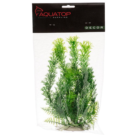 Aquatop Cabomba Aquarium Plant Green Aquariums For Beginners