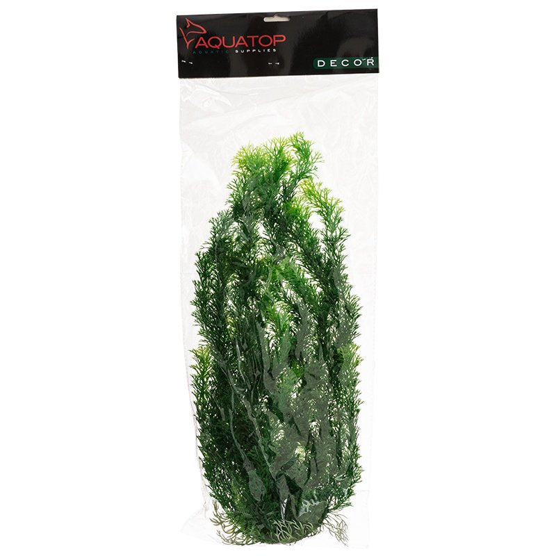 Aquatop Cabomba Aquarium Plant Green Aquariums For Beginners