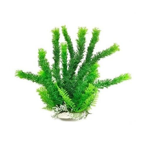 Aquatop Cabomba Aquarium Plant Green Aquariums For Beginners