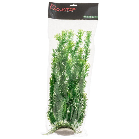 Aquatop Cabomba Aquarium Plant Green Aquariums For Beginners