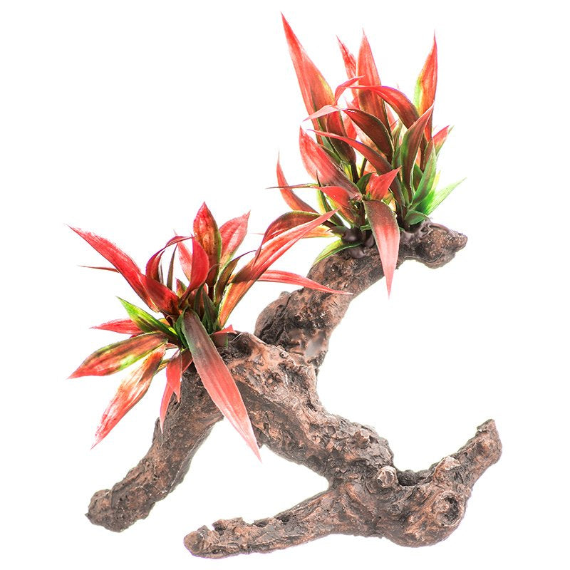 Aquatop Driftwood Aquarium Plant Fiery Red Aquariums For Beginners