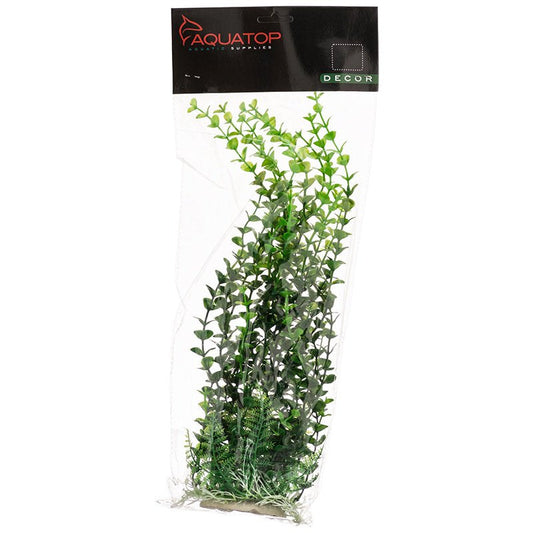 Aquatop Elodea Aquarium Plant Green Aquariums For Beginners