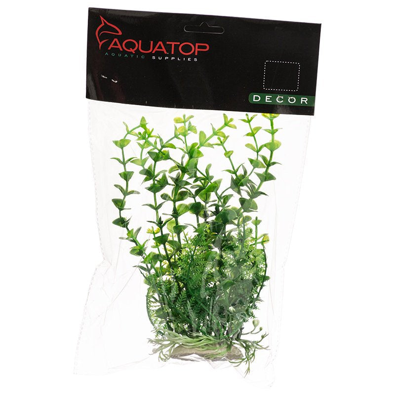 Aquatop Elodea Aquarium Plant Green Aquariums For Beginners