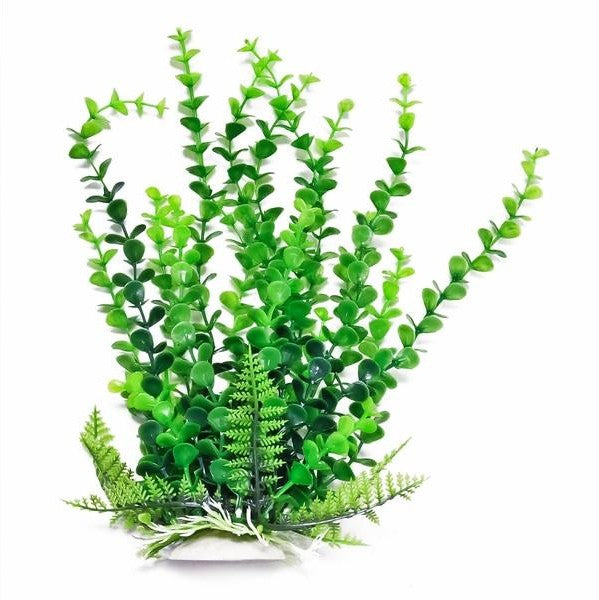 Aquatop Elodea Aquarium Plant Green Aquariums For Beginners