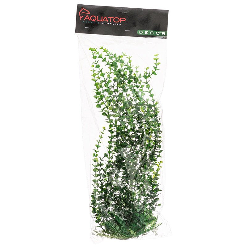 Aquatop Elodea Aquarium Plant Green Aquariums For Beginners