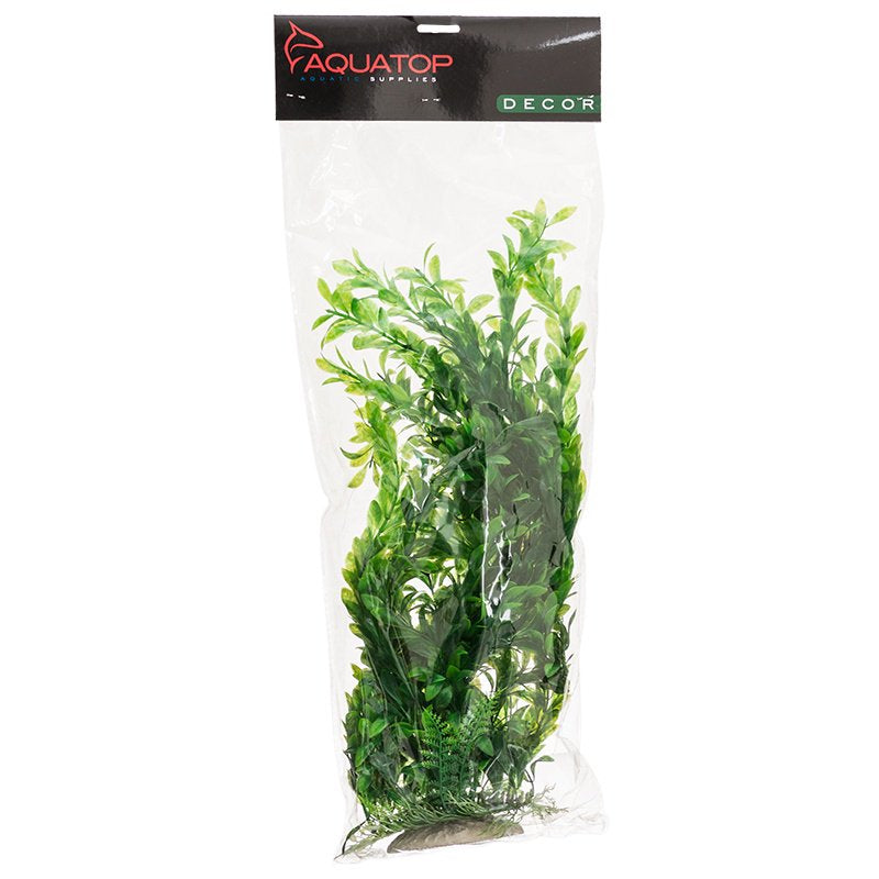 Aquatop Hygro Aquarium Plant Green Aquariums For Beginners