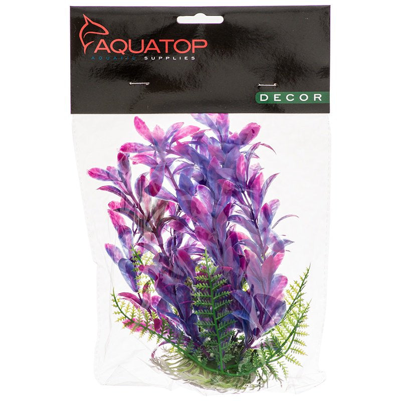 Aquatop Hygro Aquarium Plant Pink and Purple Aquariums For Beginners