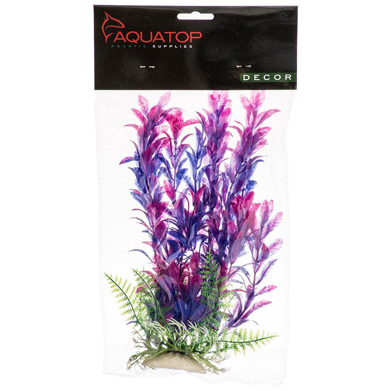 Aquatop Hygro Aquarium Plant Pink and Purple Aquariums For Beginners